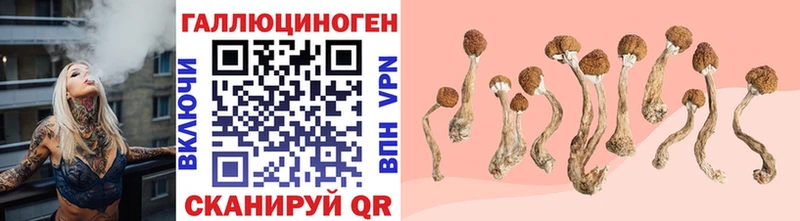 как найти наркотики  Советский  Псилоцибиновые грибы MAGIC MUSHROOMS 