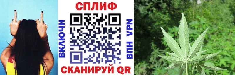 Канабис планчик Советский