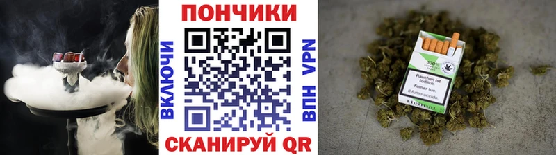 Конопля OG Kush  Советский 